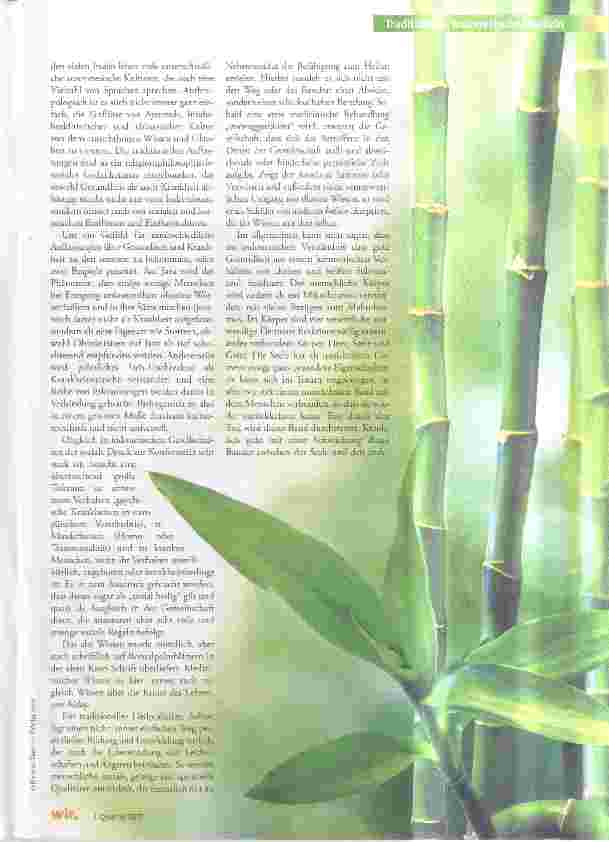 Vorschauseite 3: Heilpraktiker, Naturmedizin und das Verständnis von Gesundheit und Krankheit in Indonesien