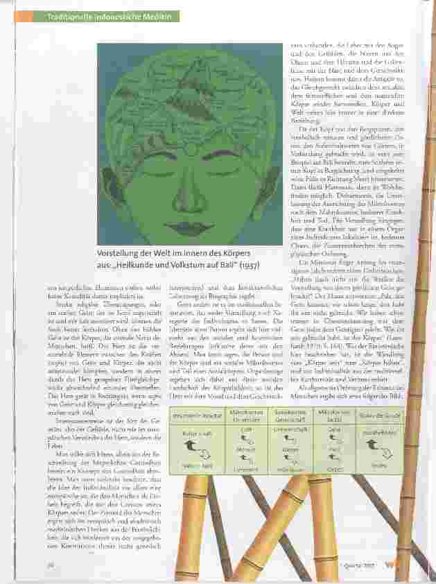 Vorschauseite 4: Heilpraktiker, Naturmedizin und das Verständnis von Gesundheit und Krankheit in Indonesien