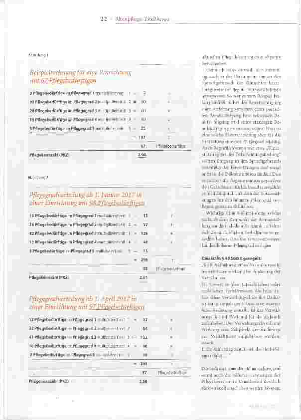 Vorschauseite 5: Pflegegrade ermitteln