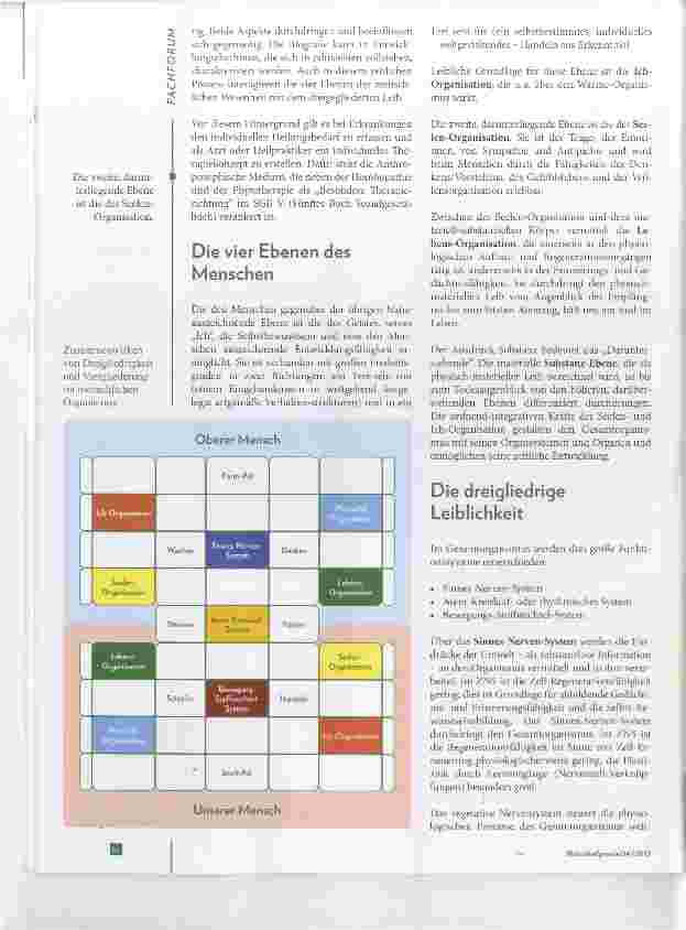 Vorschauseite 2: Gesetzmäßigkeiten des menschlichen Lebenslaufes Teil 1