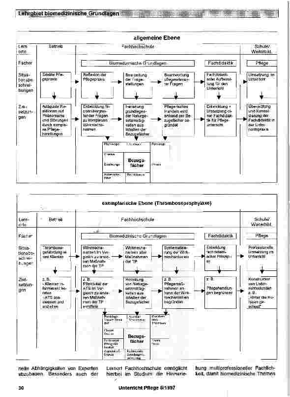 Vorschauseite 2: Das Lehrgebiet Biomedizinische Grundlagen der Pflege11 im Studiengang Pflegepädagogik - konzeptionelle Gedanken zu Inhalten und Lehre: