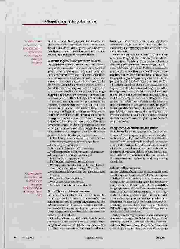 Vorschauseite 2: Pflegerisches Schmerzmanagement