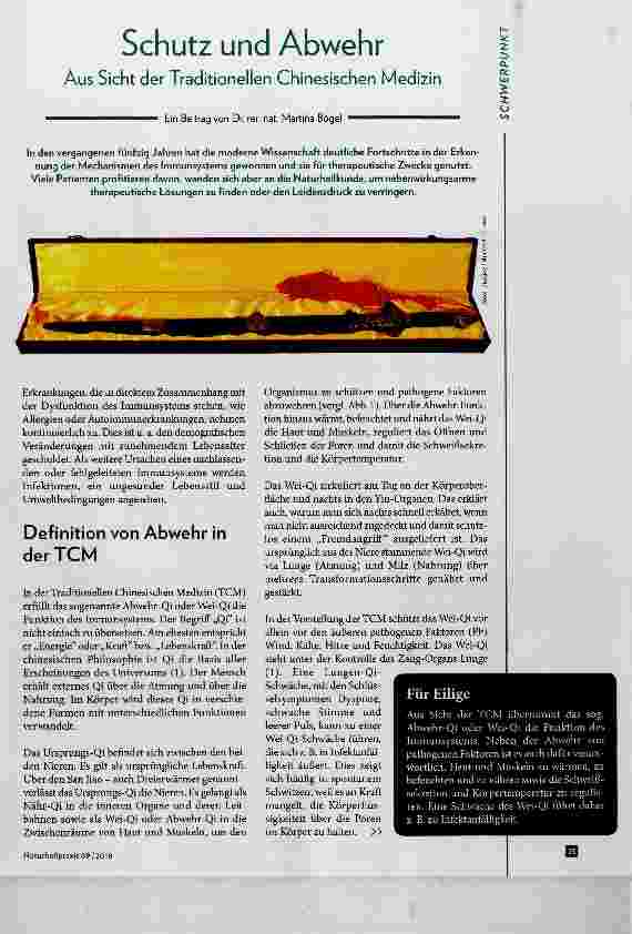 Vorschauseite 1: Schutz und Abwehr