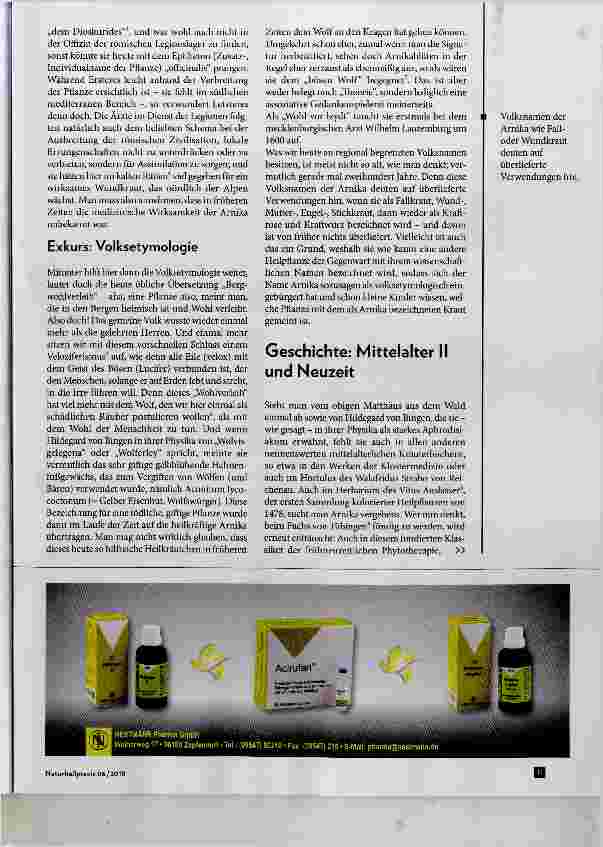 Vorschauseite 2: Arnica montana - Bergwolferley, eine uralte Heilpflanze?