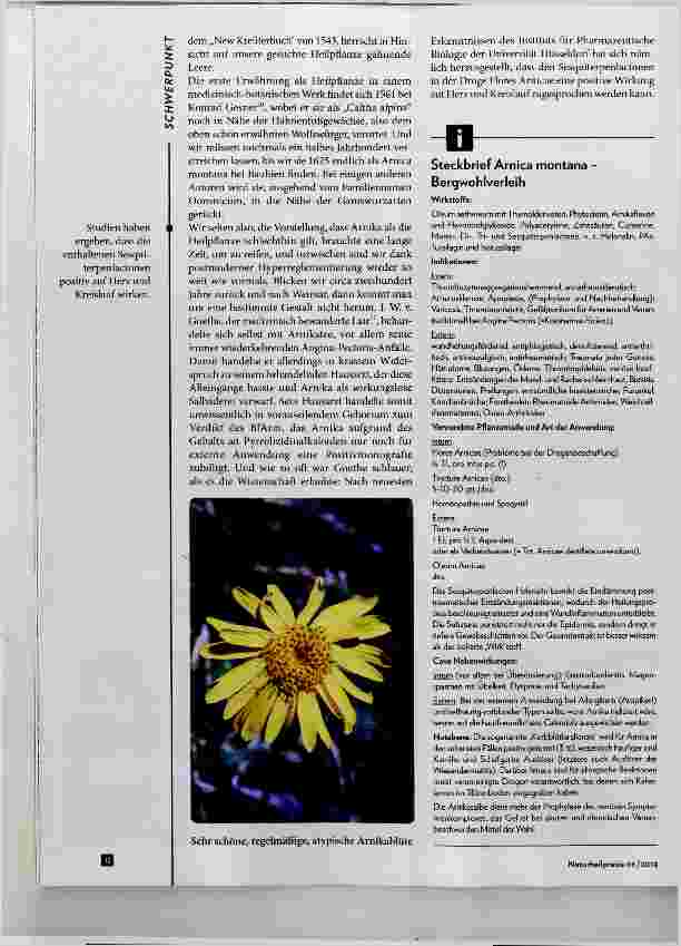 Vorschauseite 3: Arnica montana - Bergwolferley, eine uralte Heilpflanze?
