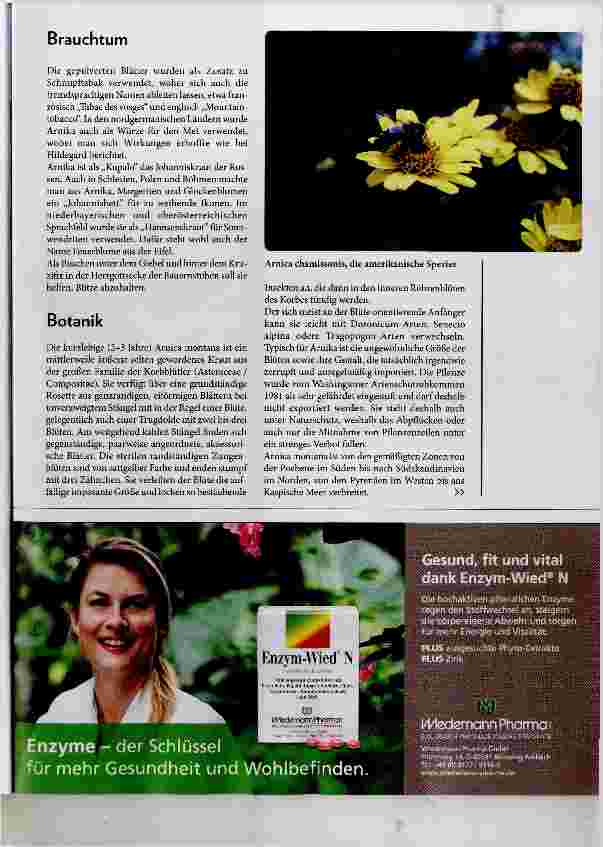 Vorschauseite 4: Arnica montana - Bergwolferley, eine uralte Heilpflanze?