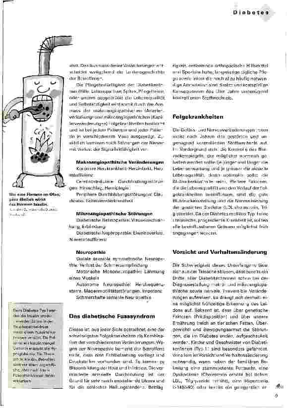 Vorschauseite 2: Diabetes Typ II