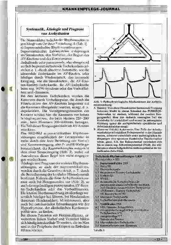 Vorschauseite 2: Klinik und Therapie tachykarder Herzrhytmusstörungen
