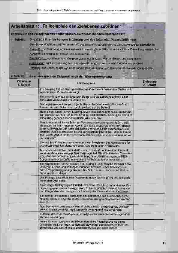 Vorschauseite 4: Unterrichtsentwurf zum Thema: Zielebenen prozessorientierten Pflegehandelns voneinander abgrenzen