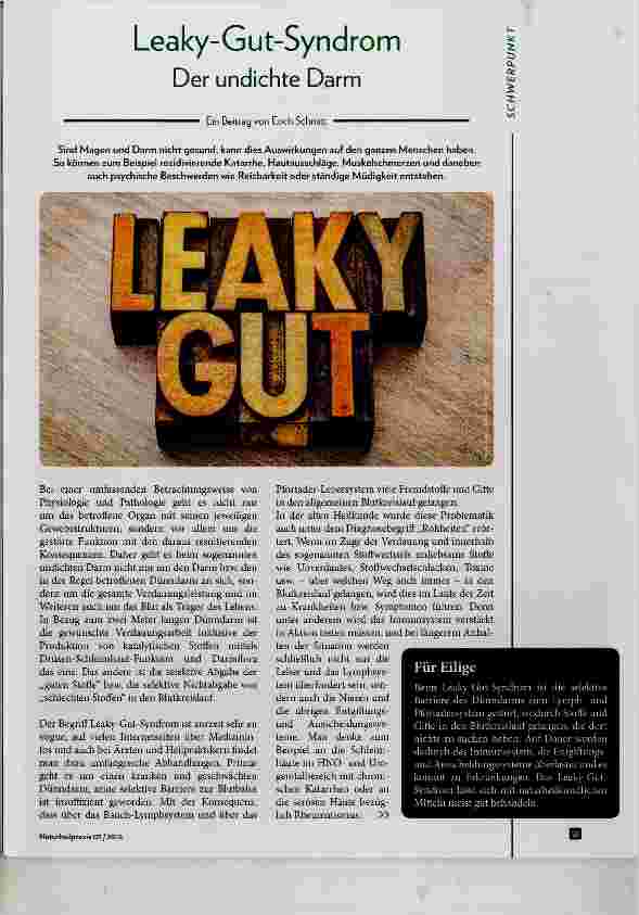 Vorschauseite 1: Leaky Gut