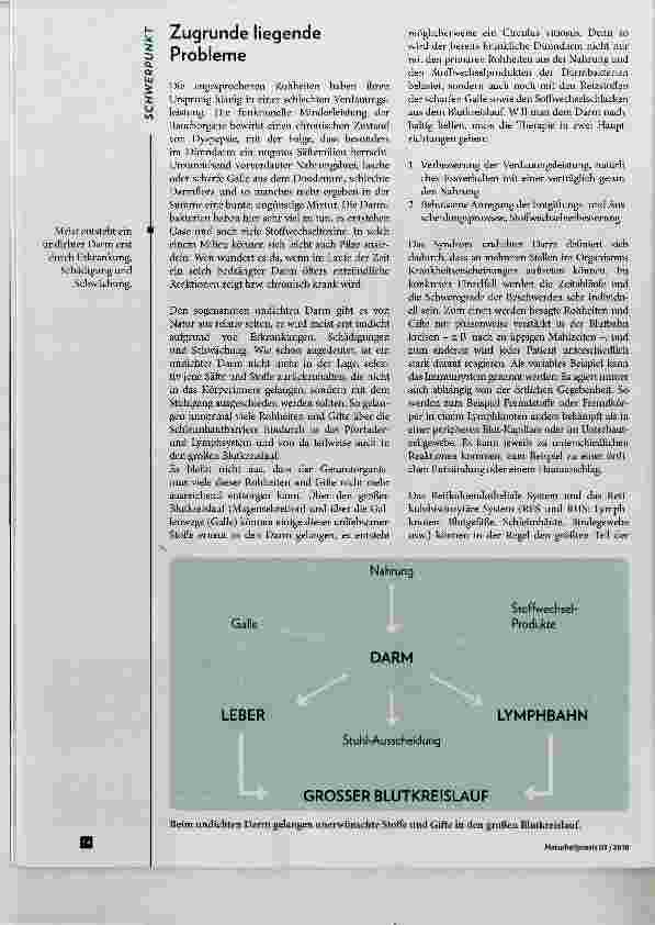 Vorschauseite 2: Leaky Gut