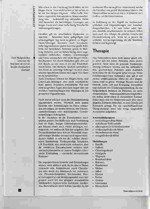 Vorschauseite 4: Leaky Gut