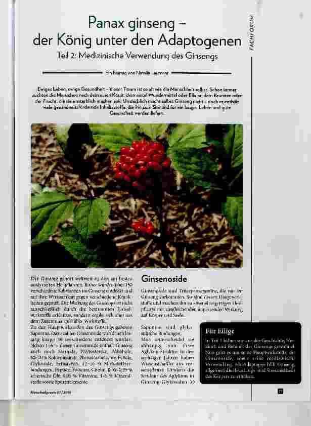 Vorschauseite 1: Panax ginseng der König unter den Adaptogenen Teil 2: Medizinische Verwendung des Ginsengs