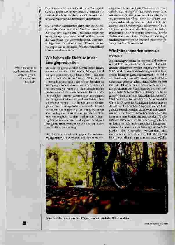 Vorschauseite 3: Sind die Mitochondrien schuld?