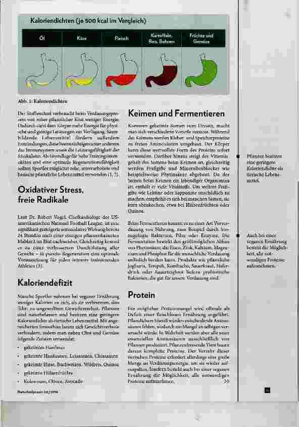 Vorschauseite 2: „Flower-Power“? Vegane Ernährung im Sport