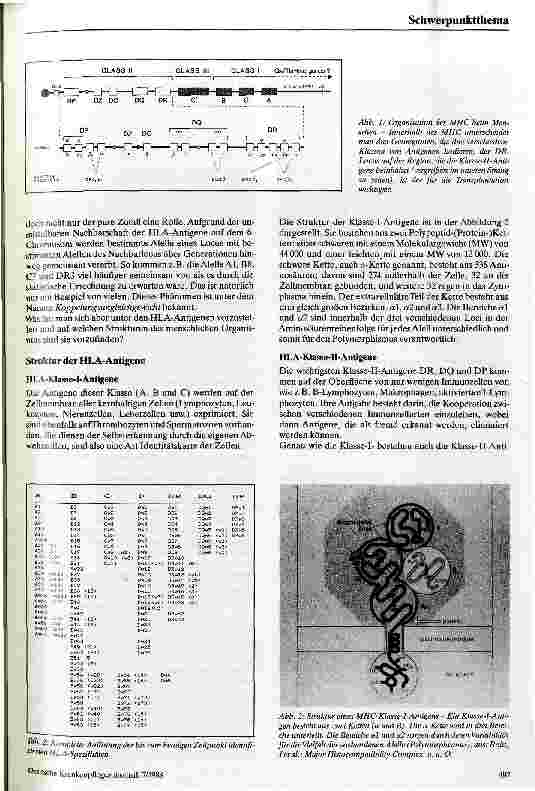 Vorschauseite 2: Das HLA-System