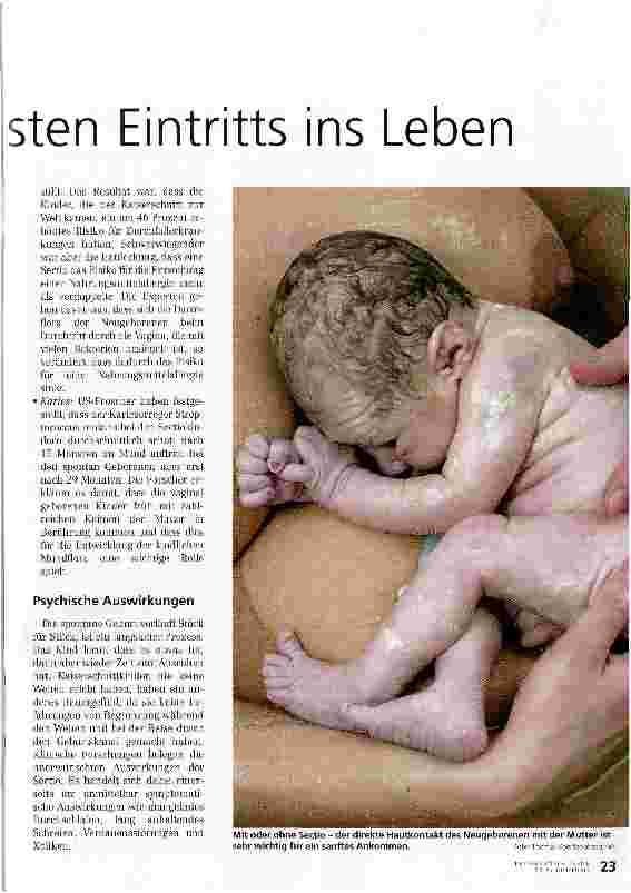 Vorschauseite 2: Die Risiken des ungebremsten Eintritts ins Leben