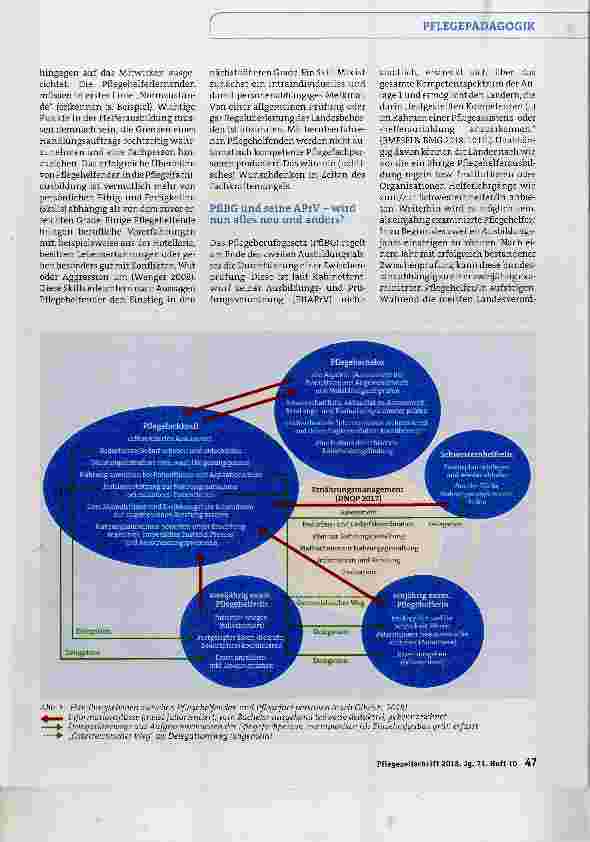 Vorschauseite 2: Gradeund Skill-Mix (Teil 2) Funktioniert Pflege als Add-On Ausbildung?