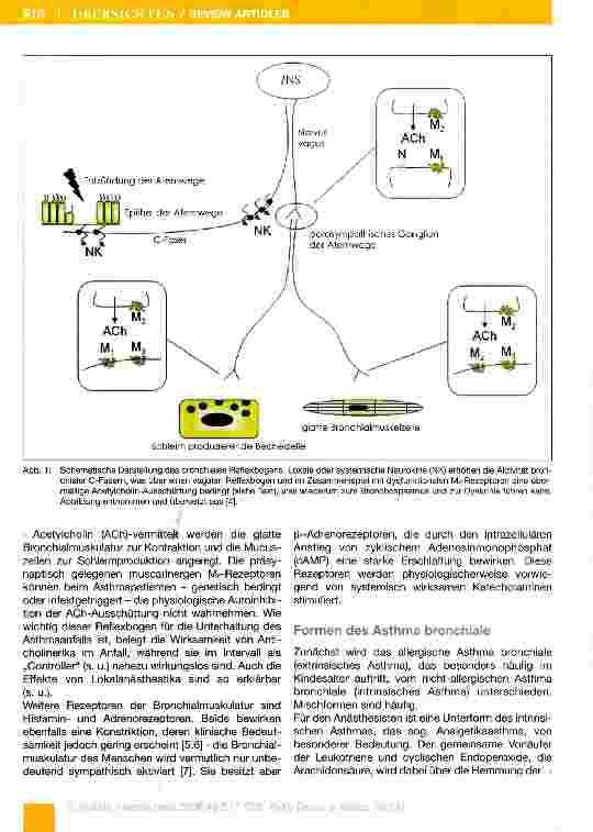 Vorschauseite 2: Der Patient mit Asthma bronchiale in der perioperativen Phase