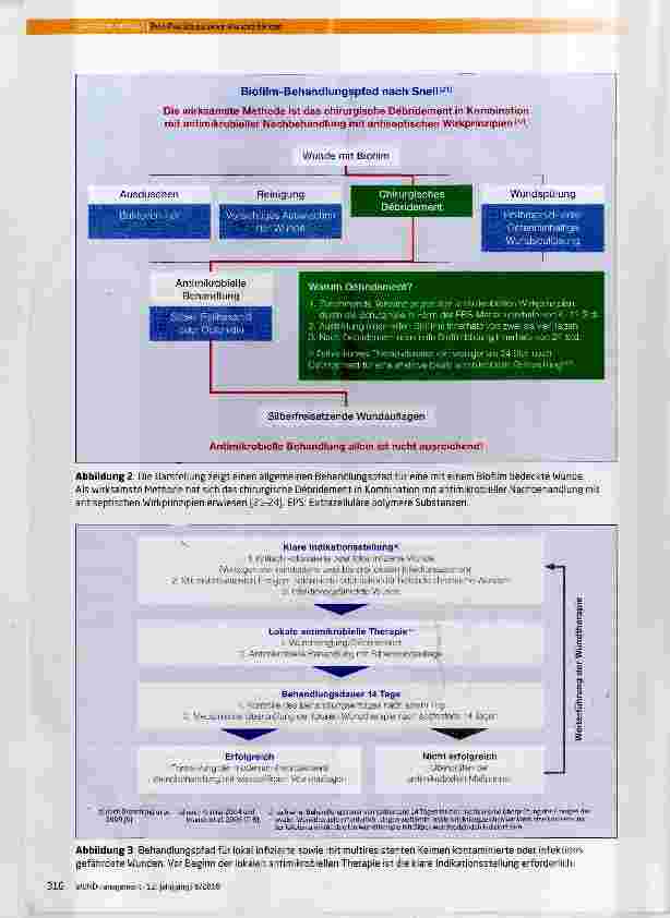 Vorschauseite 6: Best Practice zu Silber-Wundverbänden - Ergebnisse einer Expertenumfrage mit dem Ziel einer Konsentierung