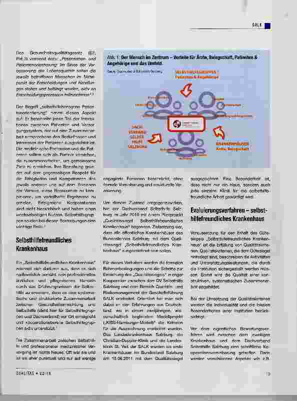 Vorschauseite 2: Wie kann man selbsthilfebezogene Patientenorientierung bewerten?