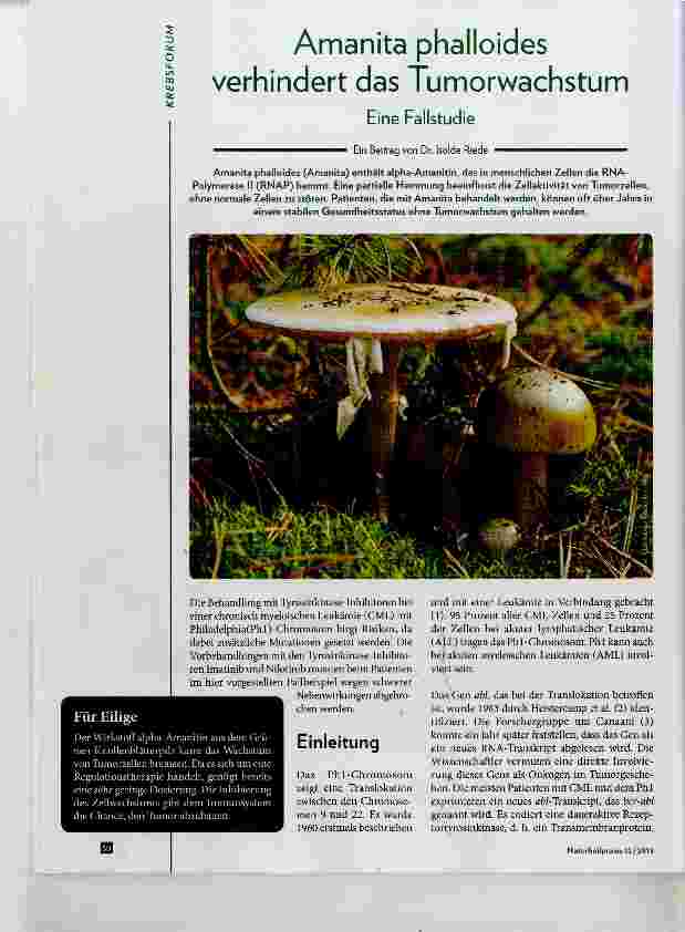 Vorschauseite 1: Amanita phalloides verhindert das Tumorwachstum
