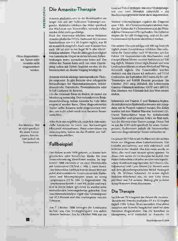 Vorschauseite 3: Amanita phalloides verhindert das Tumorwachstum