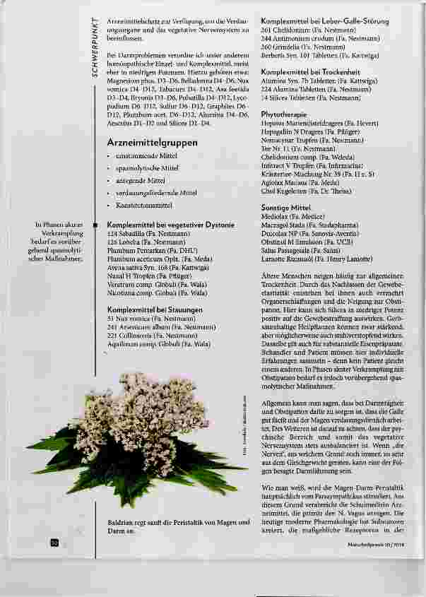 Vorschauseite 4: Darmlähmung