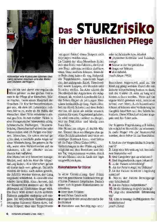 Vorschauseite 1: Das Sturzrisiko in der häuslichen Pflege