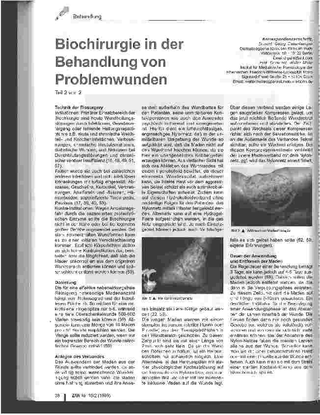 Vorschauseite 1: Biochirurgie in der Behandlung von Problemwunden