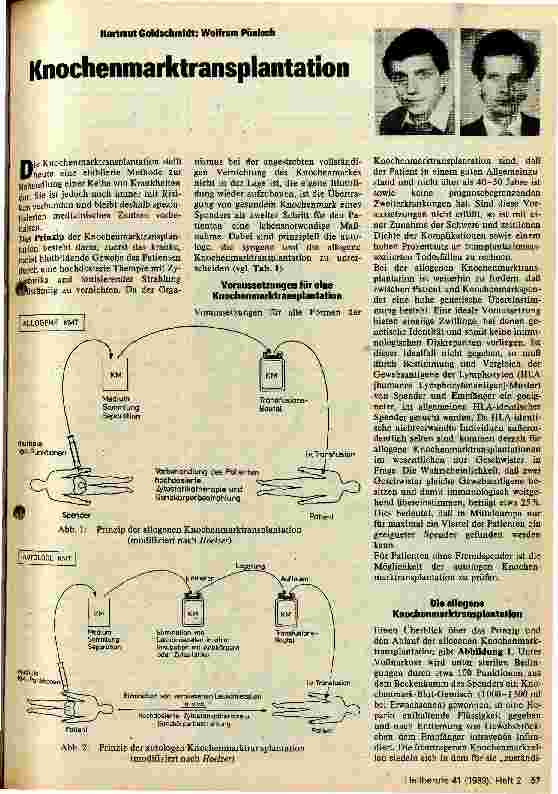 Vorschauseite 1: Knochenmarktransplantation
