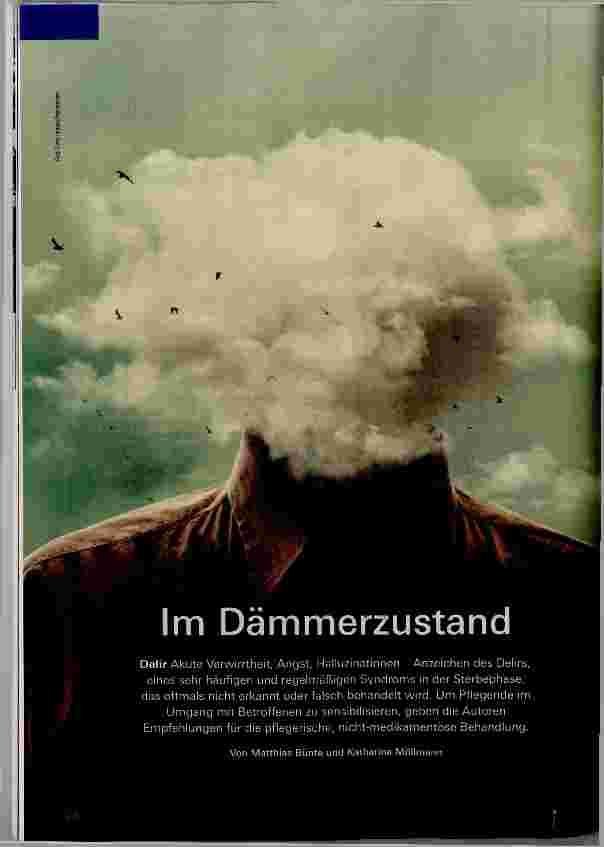 Vorschauseite 1: Im Dämmerzustand