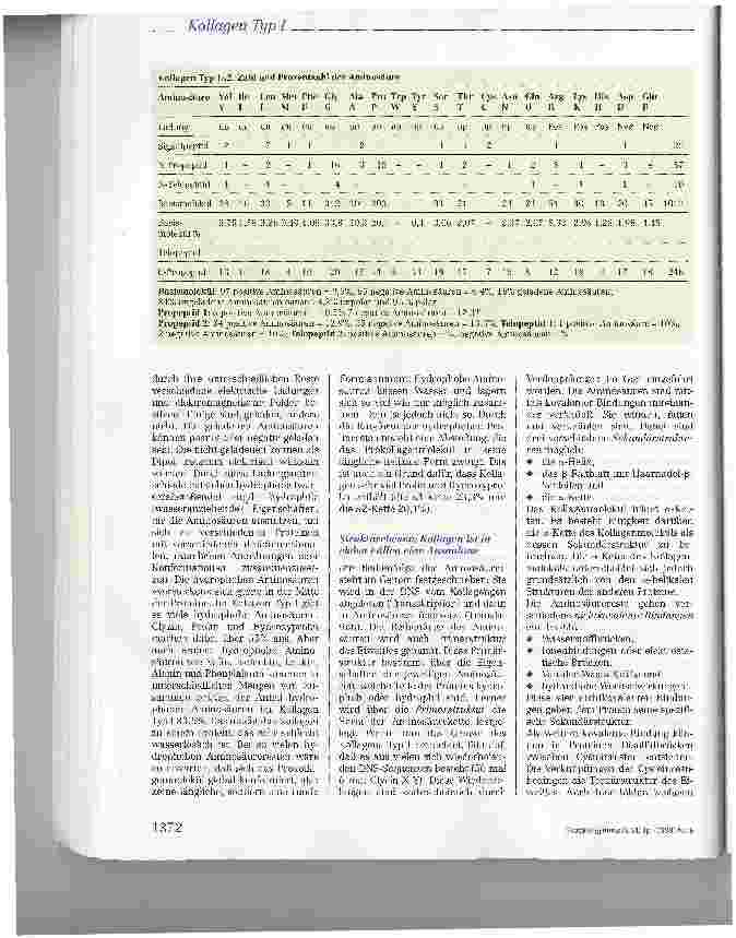 Vorschauseite 3: Wie funktioniert Kollagen Typ I?Teil I: Grundlagen