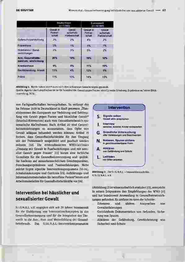 Vorschauseite 2: Gesundheitsversorgung bei häuslicher und sexualisierter Gewalt