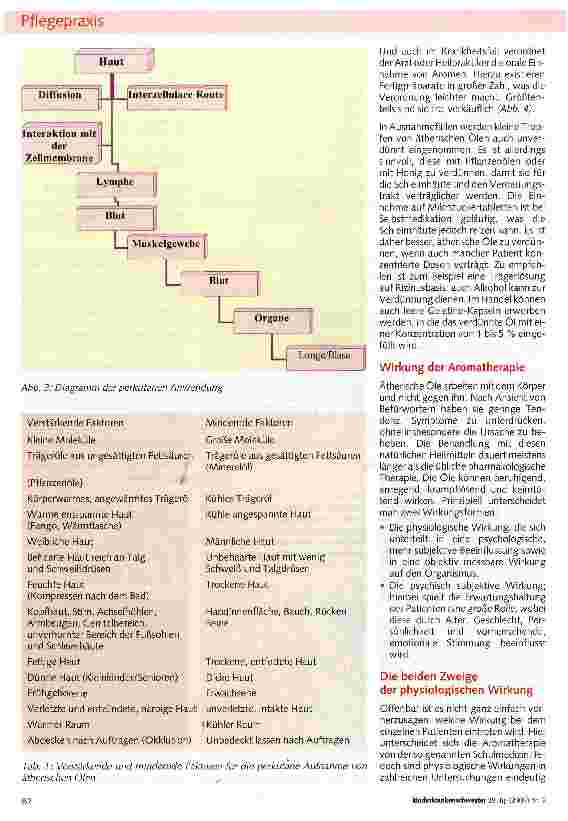 Vorschauseite 4: Naturheilkunde in der Pflege Teil I: Aromatherapie