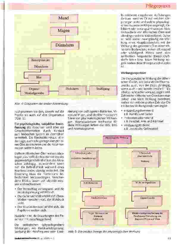 Vorschauseite 5: Naturheilkunde in der Pflege Teil I: Aromatherapie
