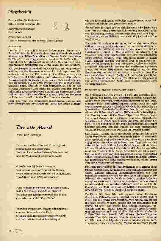 Vorschauseite 1: Pflegebericht