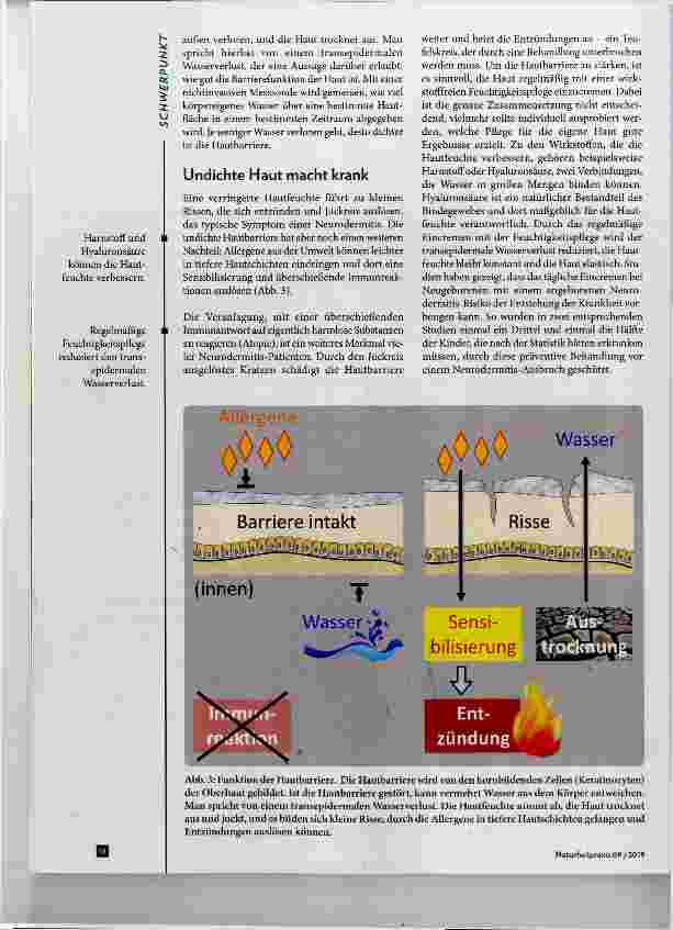 Vorschauseite 3: Unsere Haut Grenze zwischen innen und außen