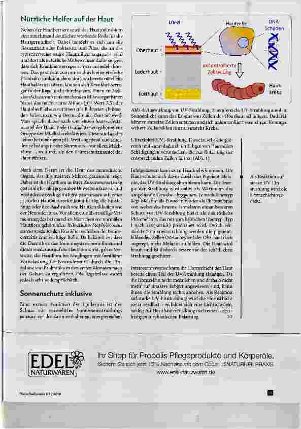Vorschauseite 4: Unsere Haut Grenze zwischen innen und außen
