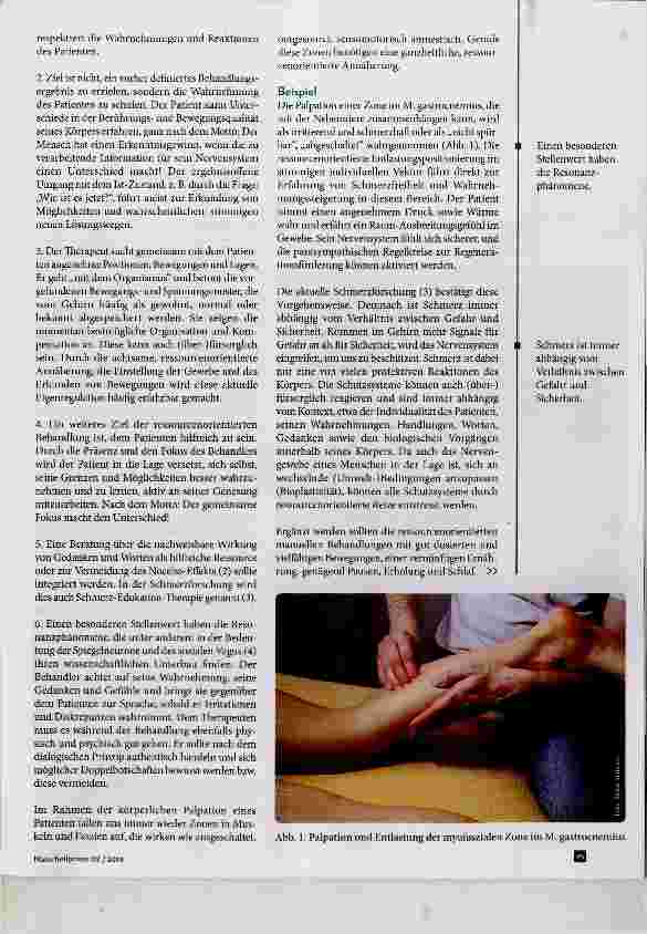 Vorschauseite 2: Behandlung von Stressbelastungen mithilfe ressourcenorientierter Körpertherapie