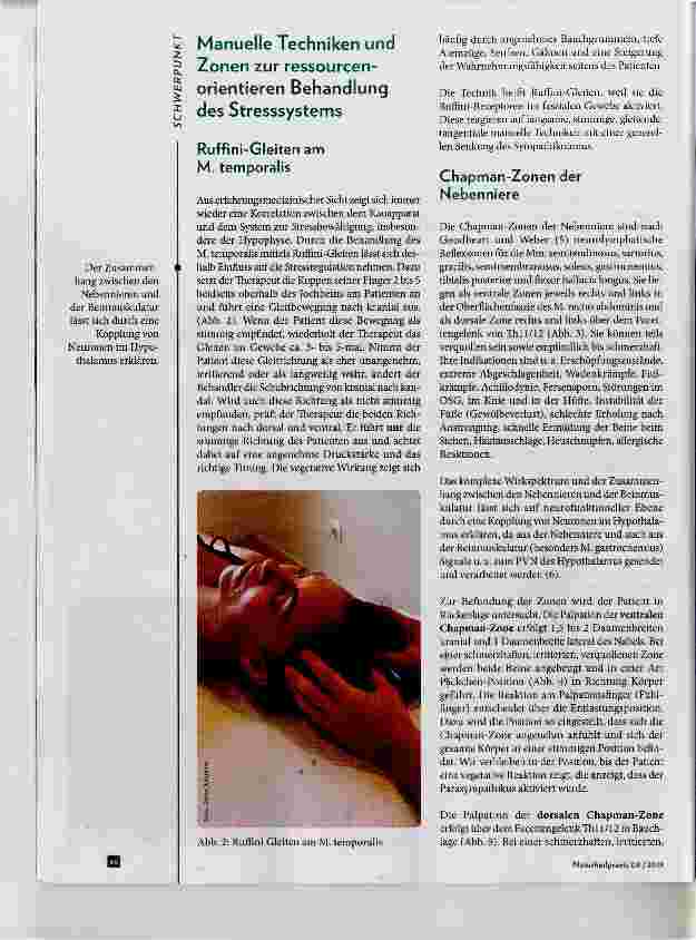 Vorschauseite 3: Behandlung von Stressbelastungen mithilfe ressourcenorientierter Körpertherapie