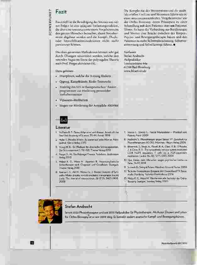 Vorschauseite 5: Behandlung von Stressbelastungen mithilfe ressourcenorientierter Körpertherapie