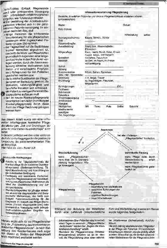Vorschauseite 2: Standardpflegepläne und ihre Bedeutung