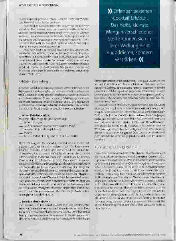 Vorschauseite 3: Gefahr unterschätzt