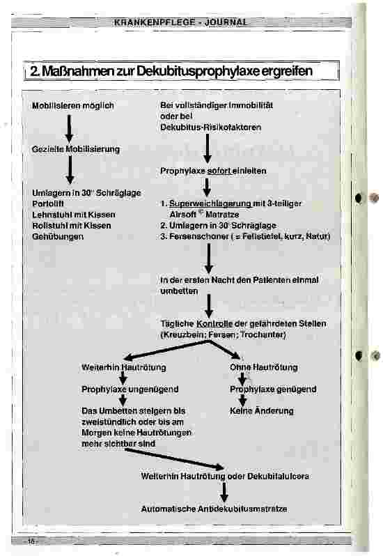 Vorschauseite 2: Dekubitusprophylaxe und Dekubitusbehandlung