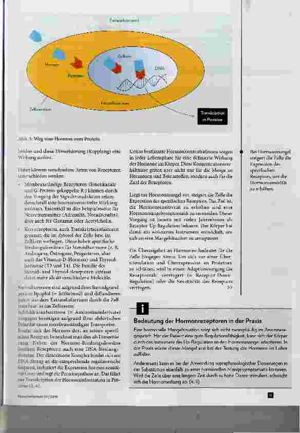 Vorschauseite 4: Die sanfte natürliche Hormonregulationstherapie