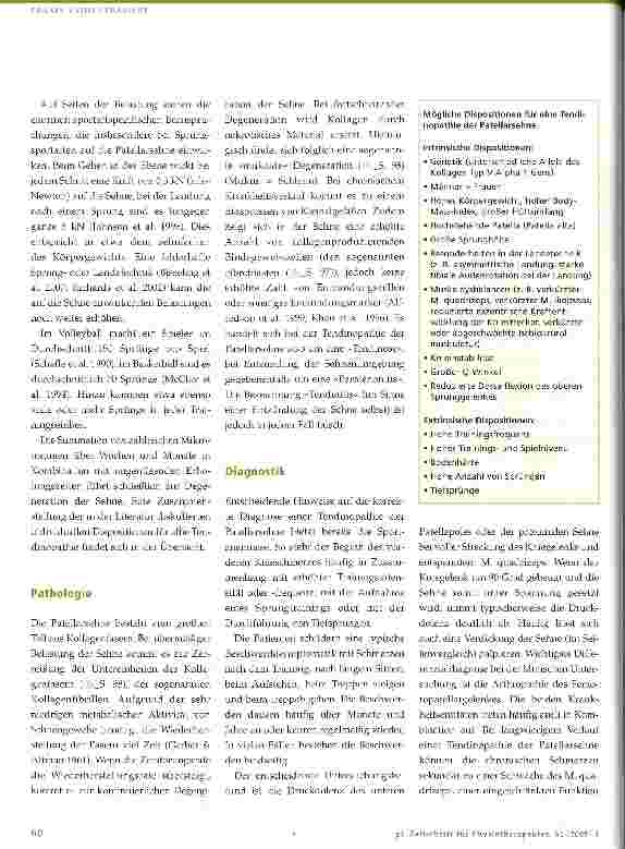 Vorschauseite 2: Die Tendinopathie der Patellarsehne