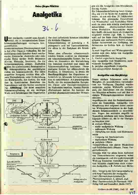 Vorschauseite 1: Analgetika