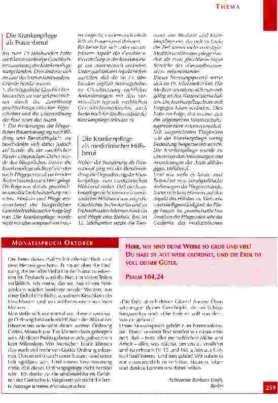 Vorschauseite 2: Der Professionalisierungsprozeß der Pflegeberufe