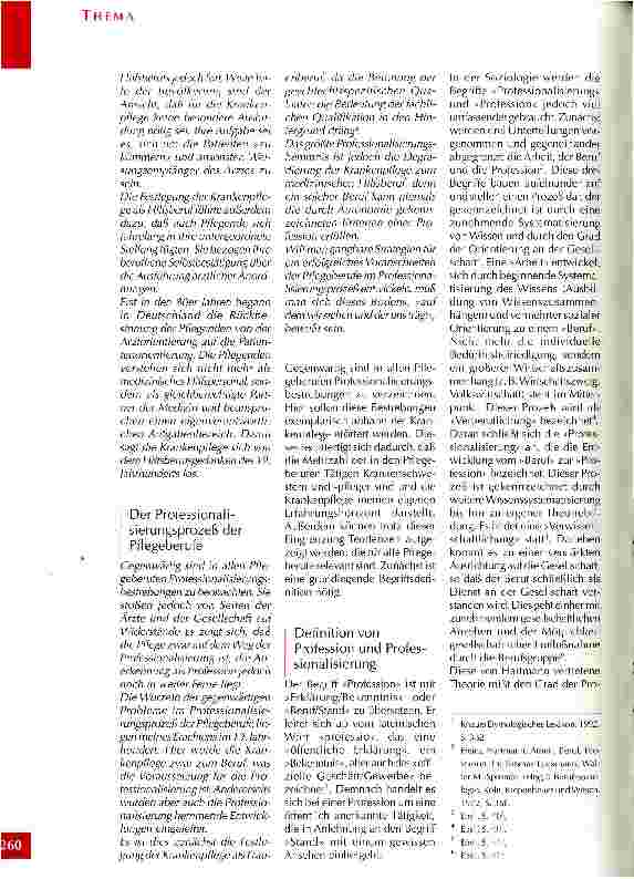 Vorschauseite 3: Der Professionalisierungsprozeß der Pflegeberufe